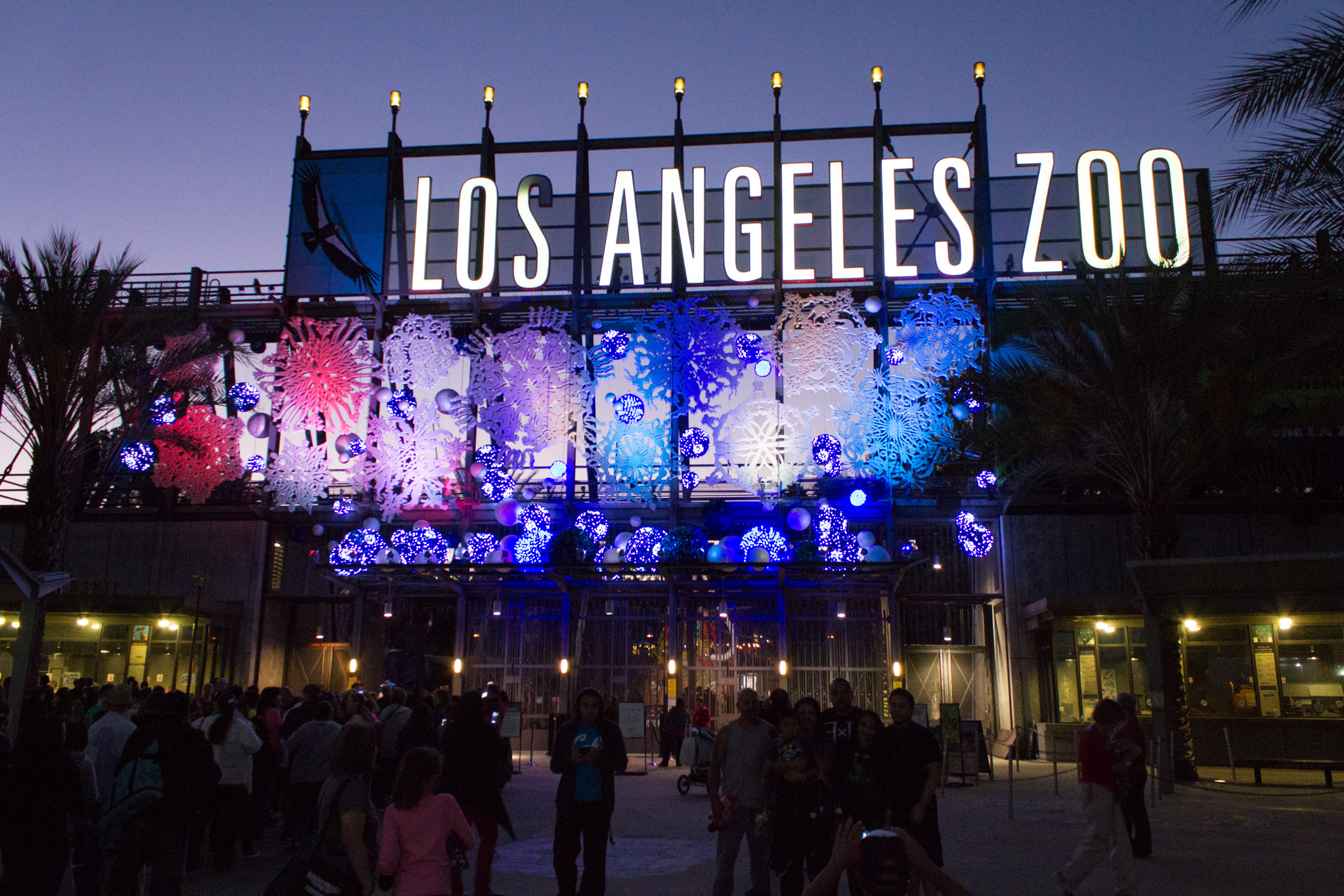 LA Zoo Lights