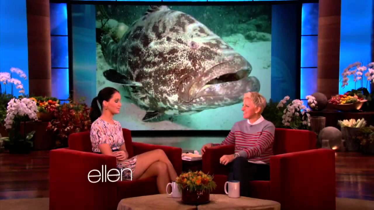 The Ellen DeGeneres Show